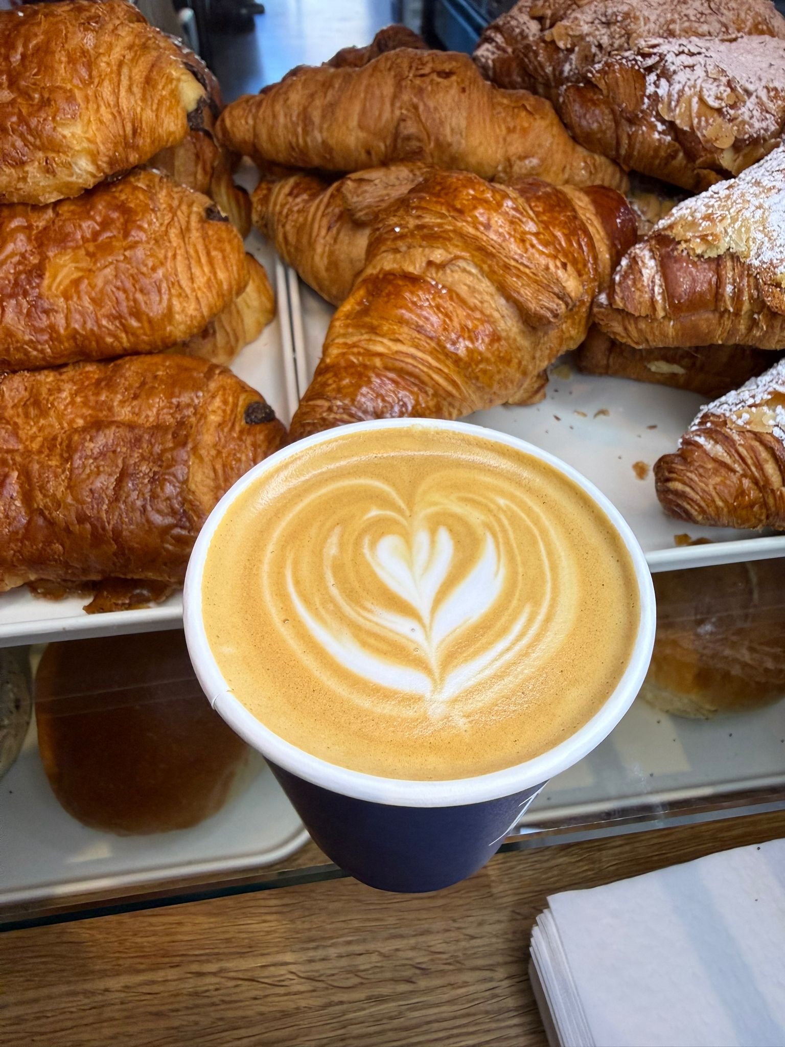 whatsapp image 2026 02 19 at 18.24.47