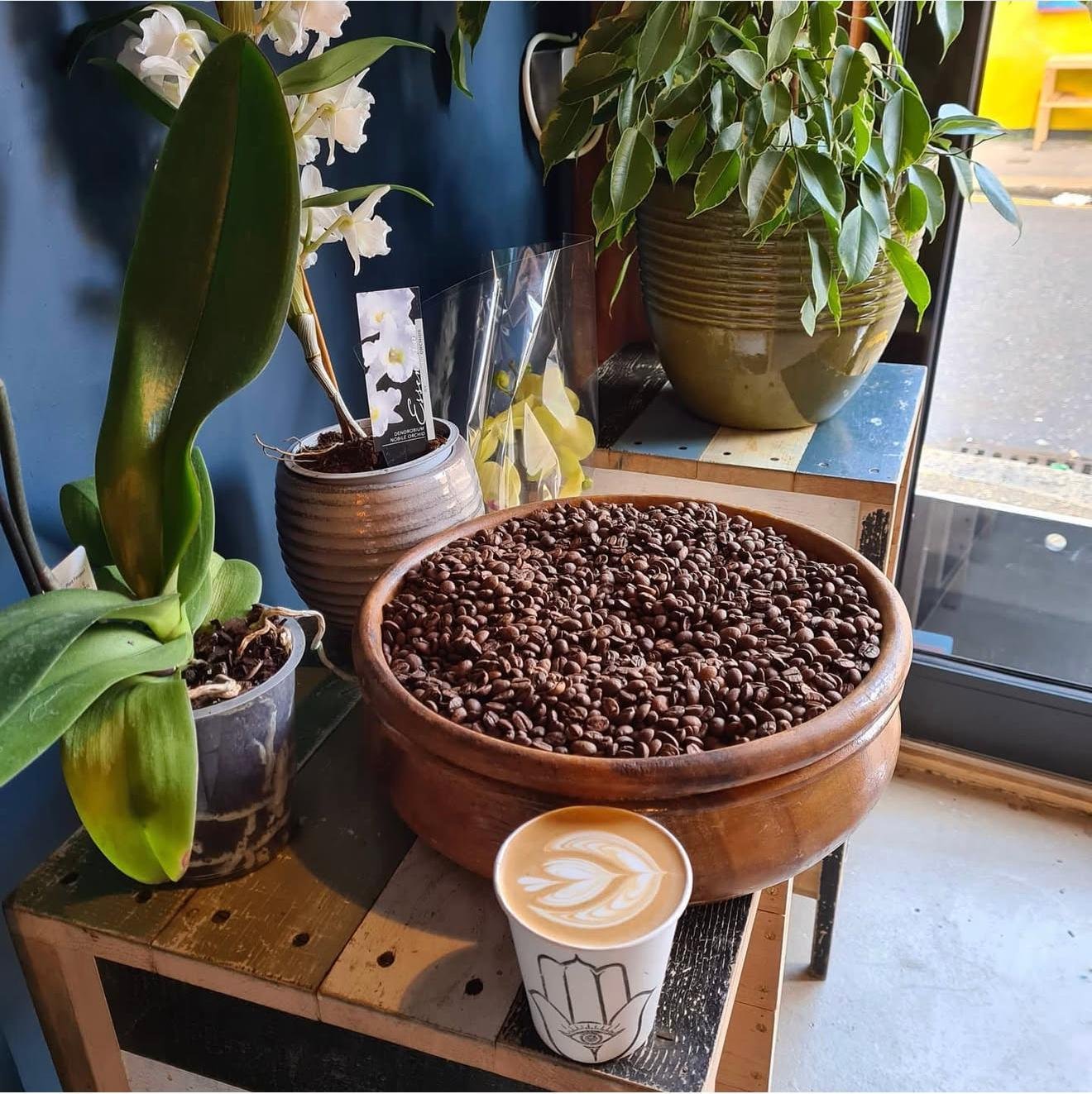 whatsapp image 2026 02 19 at 18.25.15